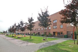 soomedia-39.jpg