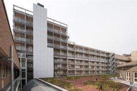 paradium-1.jpg