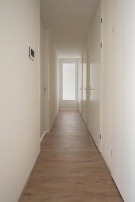 08.jpg