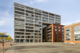 1690517-groenhoedenveem1131019hmamsterdamnl-01.jpg
