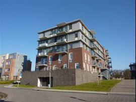 ooievaar-2.jpg