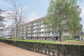 argusvlinder-82-31.jpg
