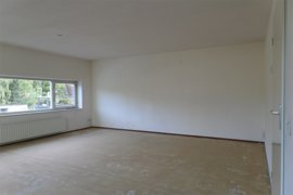 06.jpg