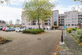 ubbemastins-146-31.jpg