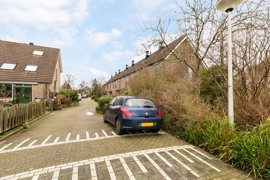 15118-tolweid-castricum-10-.jpg