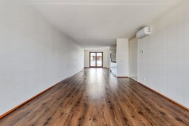 1690517-groenhoedenveem1131019hmamsterdamnl-13.jpg