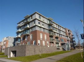 ooievaar-1.jpg