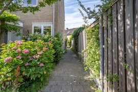 tijmtuin-3-09.jpg