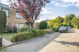 distelweide-1-32.jpg