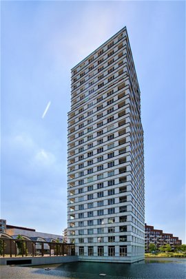 38.jpg