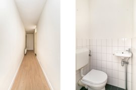 04.jpg