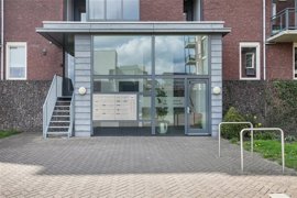 ooievaar-4.jpg