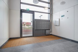05.jpg
