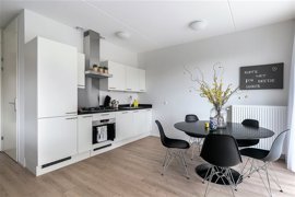 diemer-4.jpg