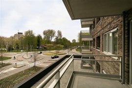 diemer-5.jpg