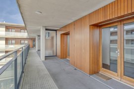 1690517-groenhoedenveem1131019hmamsterdamnl-06.jpg