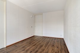 1690517-groenhoedenveem1131019hmamsterdamnl-19.jpg