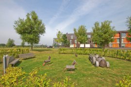 noorderplassen-omgeving.jpg