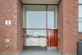 05.jpg