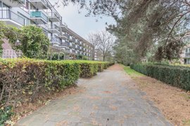 argusvlinder-82-29.jpg