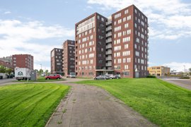 reitdiephaven-496-01.jpg
