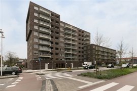 diemer-1.jpg