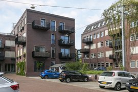 05.jpg