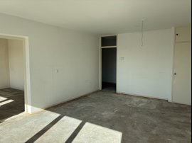 img-5353.jpeg