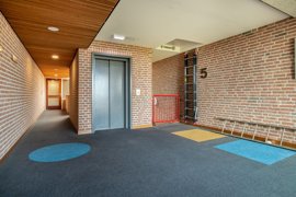 ubbemastins-146-09.jpg