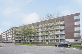 argusvlinder-82-03.jpg