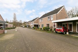 15083-witte-put-e.a.-nuenen-4-.jpg
