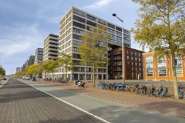 1690517-groenhoedenveem1131019hmamsterdamnl-02.jpg