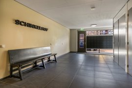 224549-16.jpg