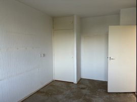 img-5356.jpeg