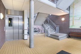 argusvlinder-82-06.jpg